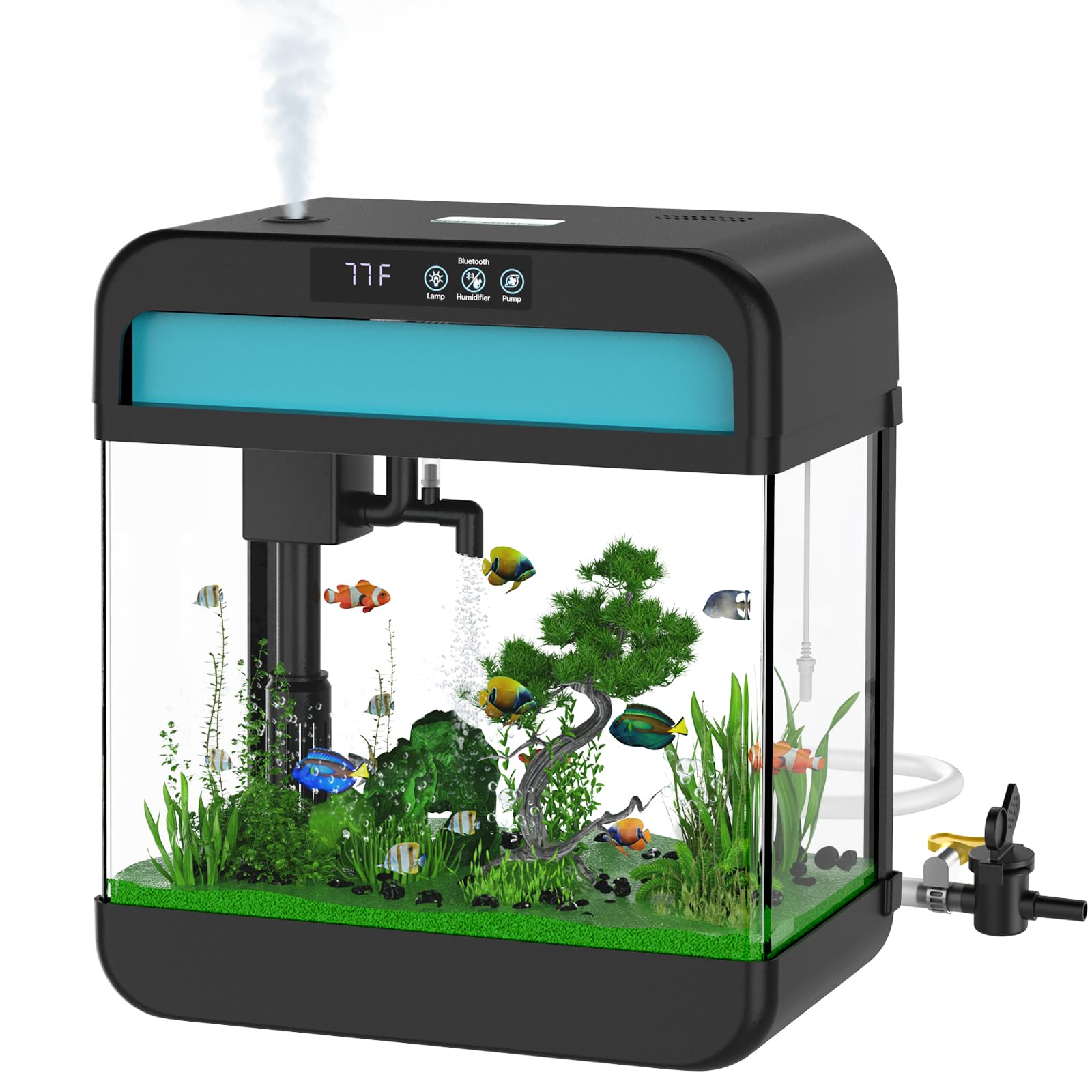 Aquarium Tank Fish Tank Kit with 2.2 Gallon Aquarium Lid and 7 Color-ful Led Lamp Starter Kit Glass Tank for Bookcase