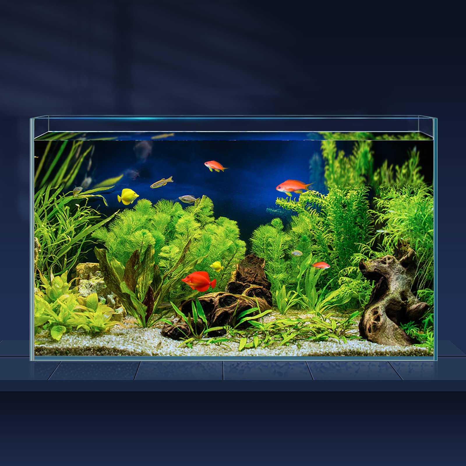 LAQUAL 10 Gallon Ultra Clear Glass Fish Tank Rimless Low Iron Aquarium for Betta/Nano/Goldfish/Snail/Shrimp Big Fish Tank & Cover Set & Feeding Ring & Cleaning Tools