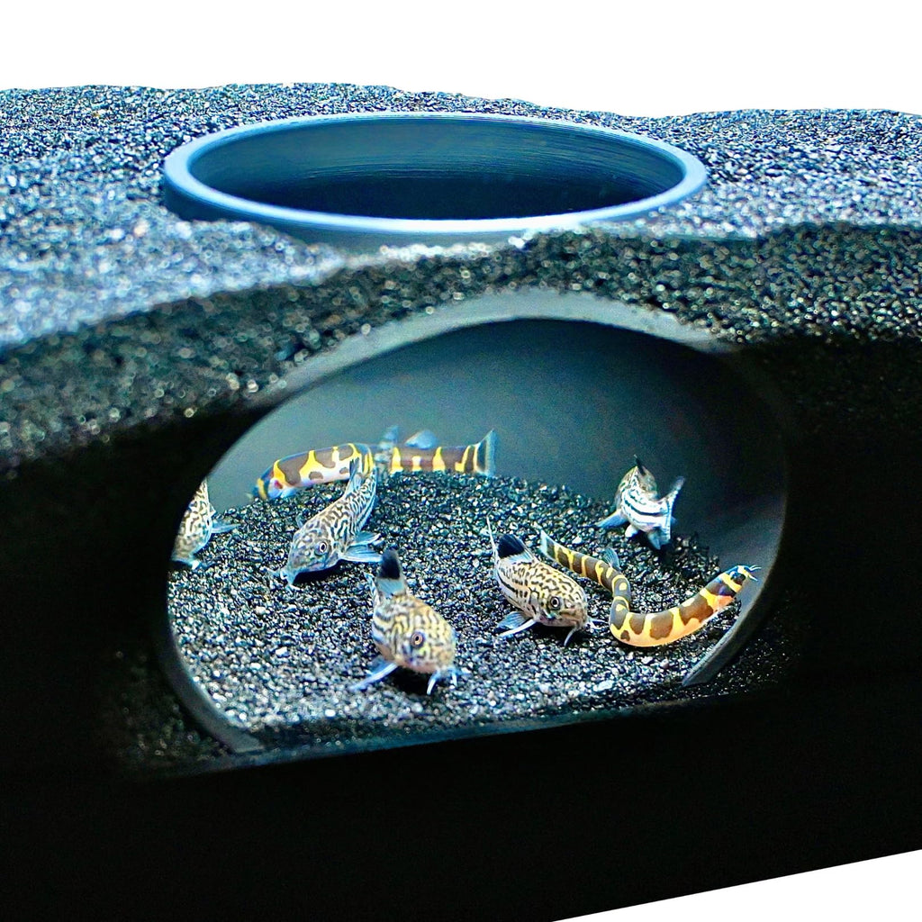 Lucky Critter Aquarium Underground Cave Dome | Viewing Fish & Shrimp Under Gravel Tunnel | Fish Tank Decor Decoration Hideout Perfect for Corydora Catfish Kuhli Loach Clown Loach Pleco