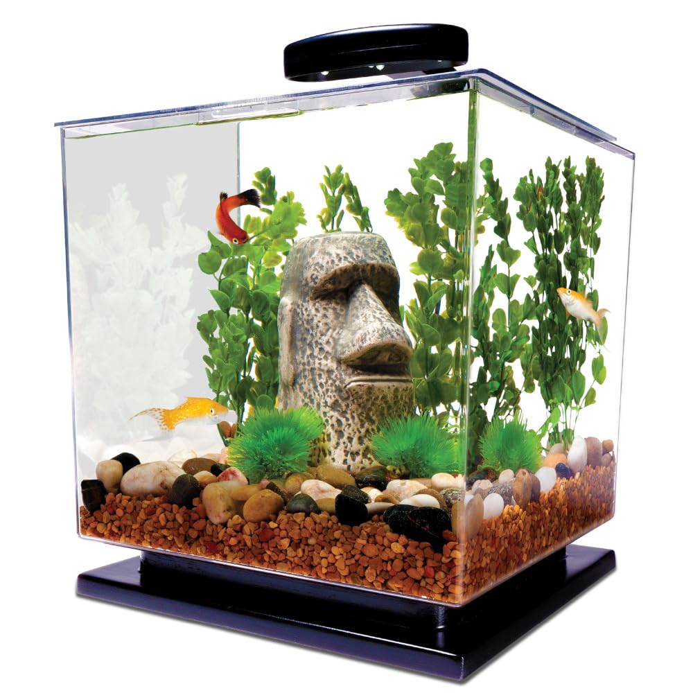 Tetra 3 Gallon Fish Tank Aquarium Starter Kit with Pedestal Base LED Light and Filter For small tropical fish guppies goldfish or betta