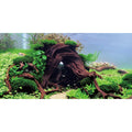 AWERT 48x20 inches Wood Aquarium Seaweed Aquarium Background River Bed & Lake Fish Tank Background Seagrass Aquarium Vinyl Background
