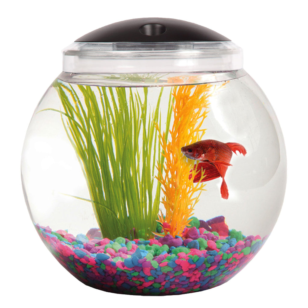 SW PRODUCTS 1-Gallon Globe Fish Tank with LED Lighting (7 Color Selections) Impact-Resistant Plastic
