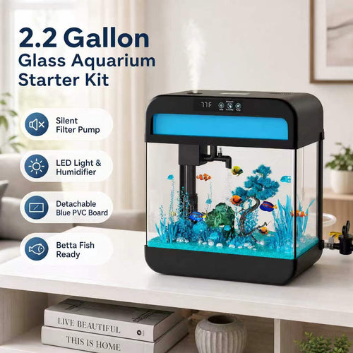 2.2 Gallon Glass Betta Fish Tank Starter Kit with Filter & LED Light
