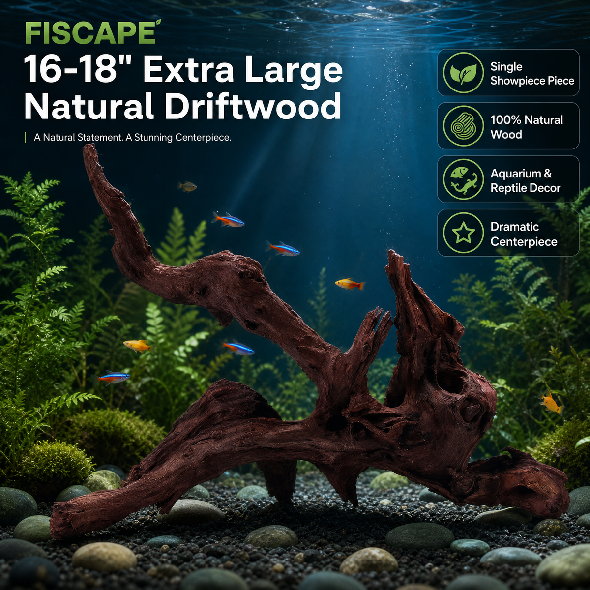FISCAPE 16-18" Extra Large Natural Aquarium Driftwood