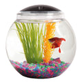SW PRODUCTS 1-Gallon Globe Fish Tank with LED Lighting (7 Color Selections) Impact-Resistant Plastic