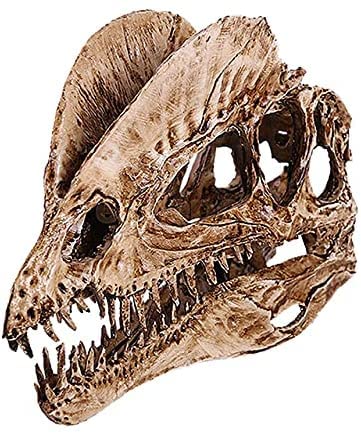 T-Rex Skull Dinosaur Resin Craft Gifts Home Decor Replica Fish Tank Statue Tyrannosaur Skull Skeleton Aquarium Decoration (A)