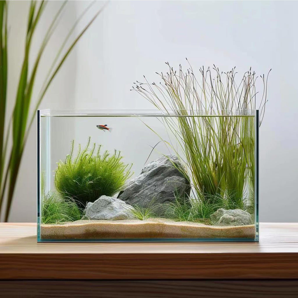 5 Gallon Glass Fish Tank Easy to Maintain Small Aquarium for Betta/Goldfish/Snails/Shrimp and Aquatic Planting.
