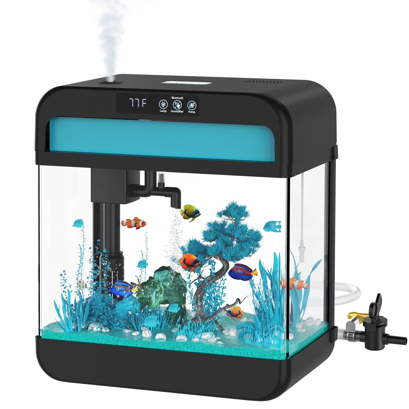 Small Fish Tank Aquarium 2.2 Gallon Glass Fish Tank Starter Kits with Silent Filter Pump LED Light humidifier and Betta Fish Tank