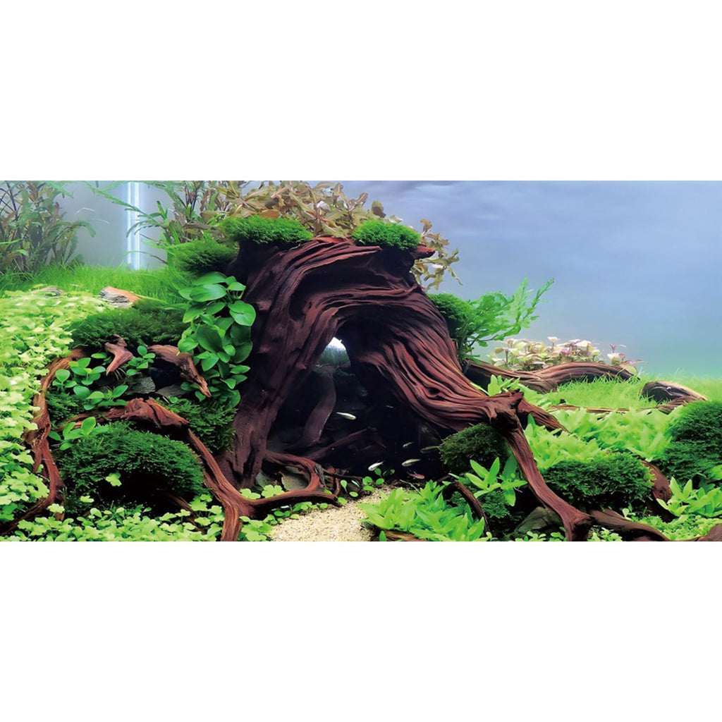 AWERT 48x20 inches Wood Aquarium Seaweed Aquarium Background River Bed & Lake Fish Tank Background Seagrass Aquarium Vinyl Background