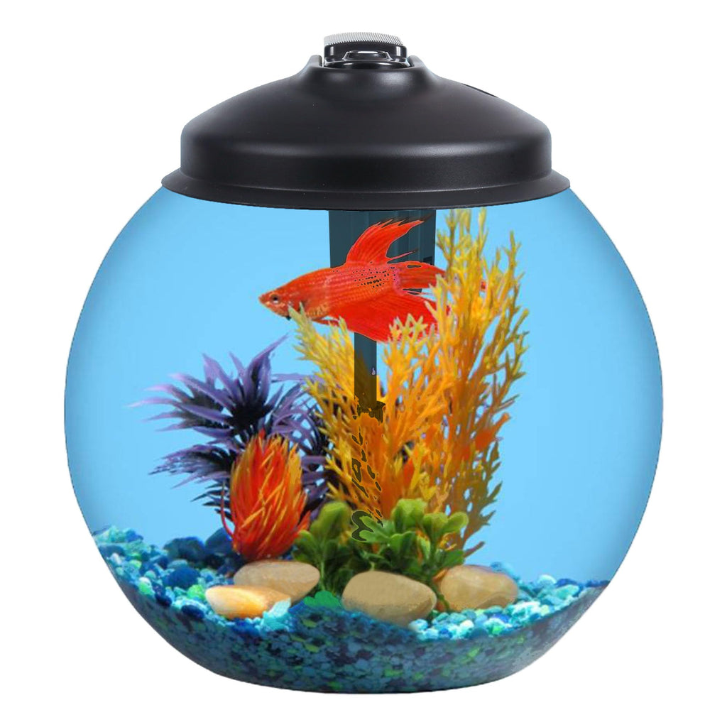 SW PRODUCTS 3-Gallon Fish Tank Aquarium Starter Kit Includes Power Filter LED Light with 5V Power Supply and Full Hood Ideal for Betta and a Variety of Tropical Fish Impact-Resistant Plastic